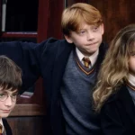 معرفی بازیگران سریال هری پاتر؛ Harry Potter | دومینیک مک‌لافلین
