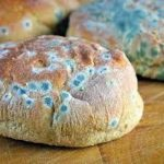 خطرات مصرف غذاهای آلوده به کپک