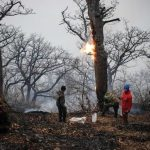 خشم رسانه‌های معاند از فروکش آتش در جنگل‌های مازندران و آغاز دروغ پراکنی ها علیه استاندار