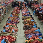 آغاز مرحله سوم طرح «پناه گرم» در شب های سرد پایتخت