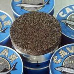 ولی زاده: ۸۰ درصد خاویار بابلسر به ۳۲ کشور صادر می‌شود